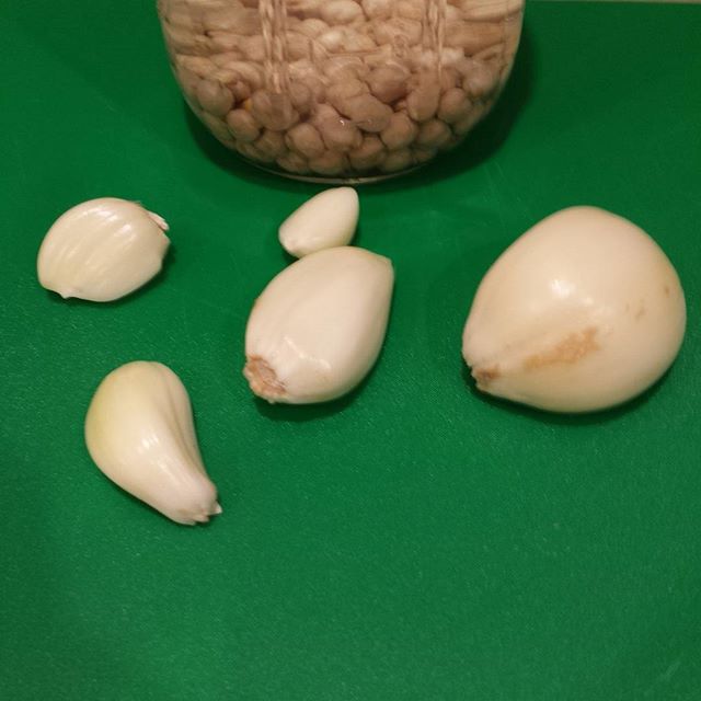 Making #garbonzobeans with #elephantgarlic